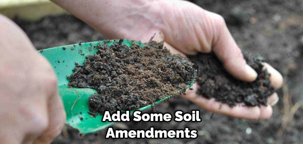 Add Some Soil Amendments