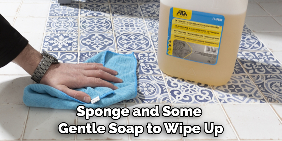 Sponge and Some Gentle Soap to Wipe Up