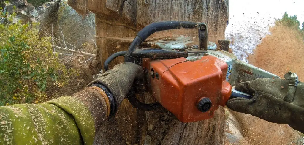 How to Remove a Tree Stump With a Chainsaw