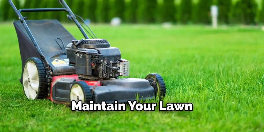 Maintain Your Lawn