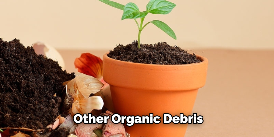 Other Organic Debris