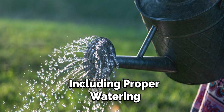 Including Proper Watering