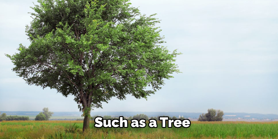 Such as a Tree