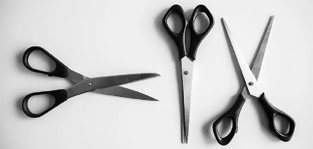 How to Fix Loose Scissors