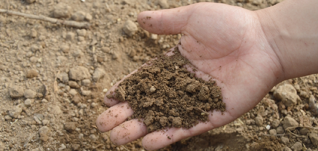 How Do Soil Testers Work